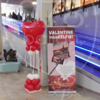 valentijn-sterrenburg-08 - kopie.jpg